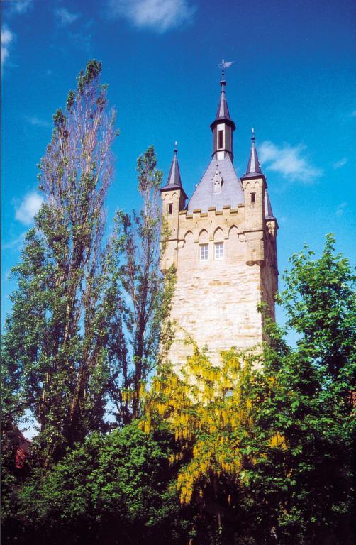 Hotel Am Rosengarten Bad Wimpfen Extérieur photo